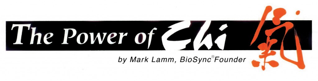 Power of Chi Header Power of Chi Header 1024x263 The Tao of Surfing